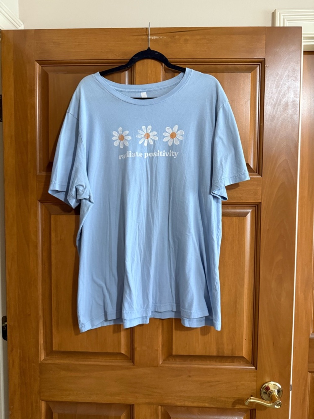 Bella Canvas Light Blue Graphic Tee with Daisy Message